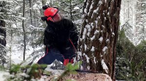 Программа "Главные новости" на 8 канале от 10.12.2024 Часть 2