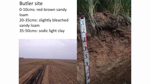Scratching the Surface: soil biology in agriculture, March 2017: David Davenport
