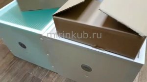 Обзор инкубаторов Блиц Норма и Норма С8 72 яйца 2017