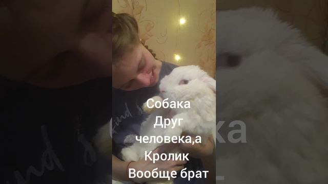 собака-друг человека, а кролик... вообще...