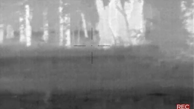 99gr Hammer Hunter Bullet | 6.5 Creedmoor | 5 Minute 3 Hog Hunt смотреть онлайн