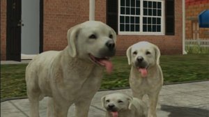 Dog sim – All soundtracks