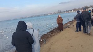 Анапа. Шикарная весенняя погода в декабре продолжается! 10 декабря 2024. 14.00