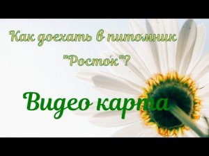 Как добраться в питомник растений "Росток" г. Мегион