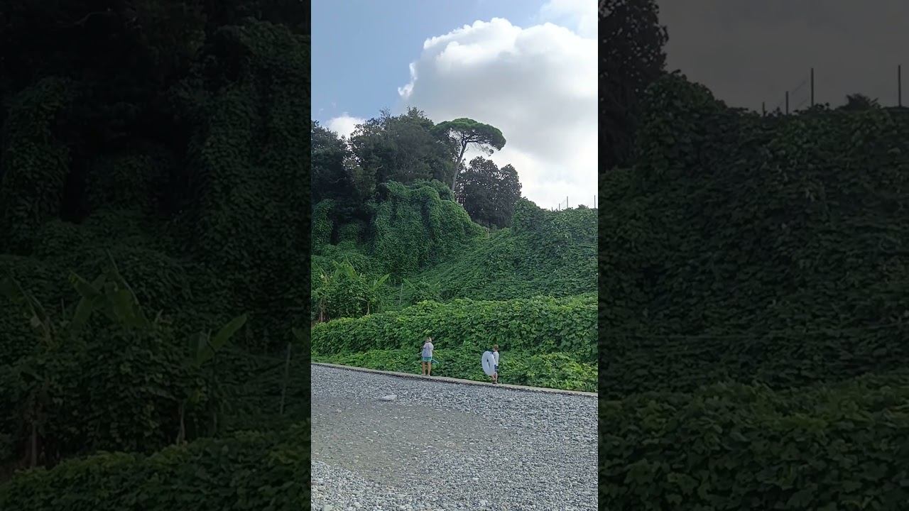 Пляж ботанического сада Batumi смотреть онлайн