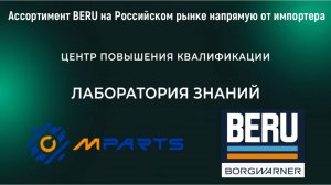Ассортимент BERU BorgWarner в MPARTS напрямую от импортера без посредников.