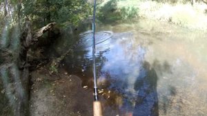 рыбалка на Вольге