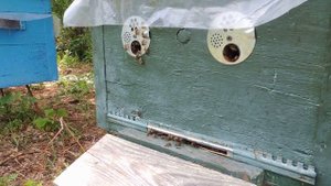 Как заселить нуклеус.