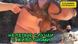 Нелепые случаи с животными 🫎Смешное видео😂