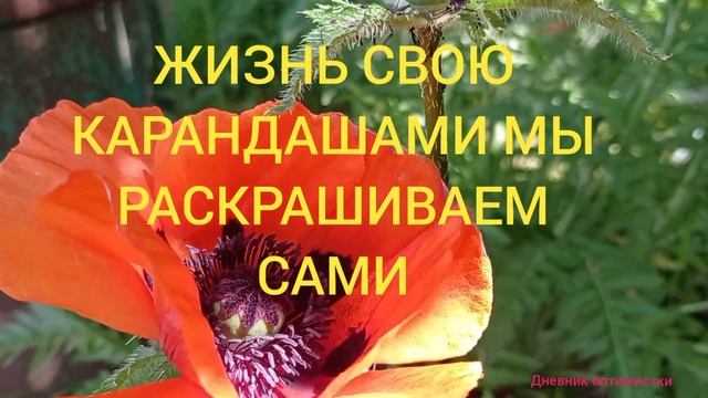 ЖИЗНЬ СВОЮ КАРАНДАШАМИ МЫ РАСКРАШИВАЕМ САМИ #дневникоптимистки