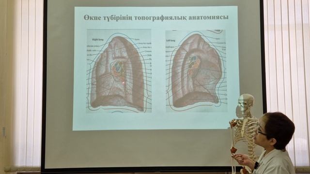 Плевра мен өкпенің топографиялық анатомиясы | Топографическая анатомия плевры и легких