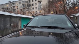 Патфайндер прекрасный