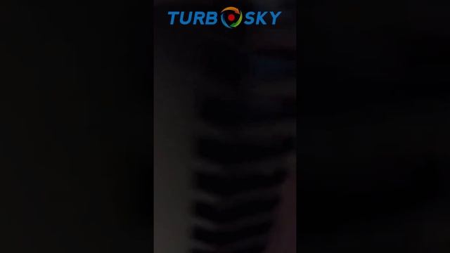 Источник бесперебойного питания Turbosky PT 1000VA