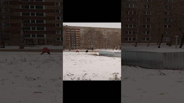 11-12-2024В ожидании снега