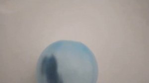 Хомяк в прогулочном шаре