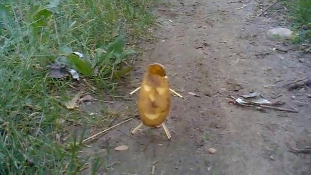 Сдохни картошка!