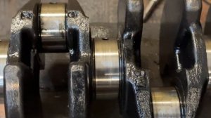 Никто не смог с ним справиться...