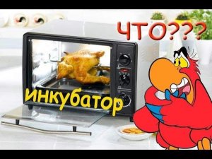 2 в 1, инкубатор из микроволновки, + брудер для попугаев. Часть 1
