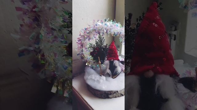 MP4_20241211_151924_PHOTOMOVIE.mp4