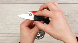 Нож Spyderco Dragonfly 2 Emerson, VG-10, Black FRN Handle, C28PGYW2