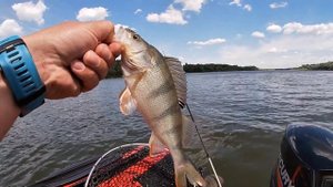 Ловля Судака на Силикон | Поиск рыбы в Жару | Polar Bird