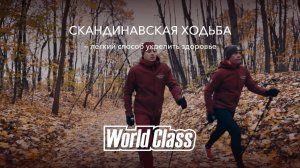 Nordic Walking или скандинавская ходьба — тренировка для всех