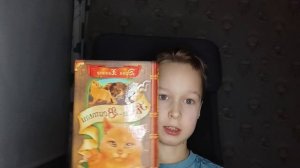 Обзор книг Коты-Воители