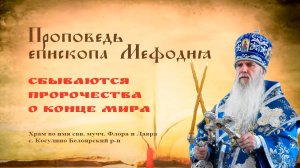 Сбываются пророчества о конце мира | Проповедь епископа Мефодия