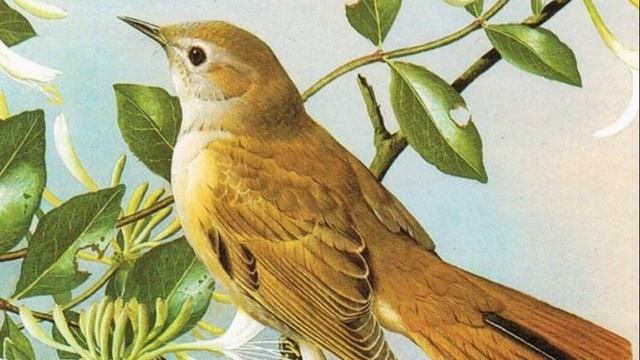 Легенды, были и сказы Курской губернии смотреть онлайн