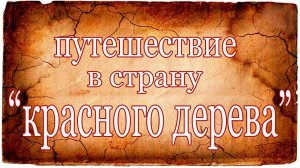Путешествие в страну КРАСНОГО ДЕРЕВА. Travelling to "Red wood" country