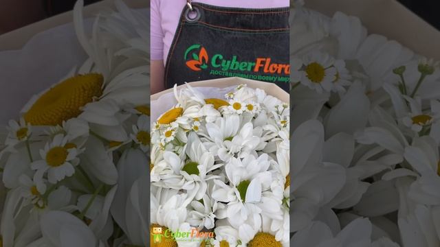 Букет из ромашек и хризантем