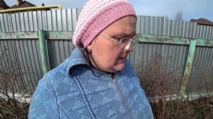 Почему сохнут ветки на жимолости? Это щитовка. Способ борьбы