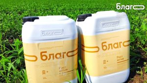 Увеличиваем урожайность сои с БЛАГО в Амурской области