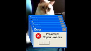 Кот икает и пукает одновременно