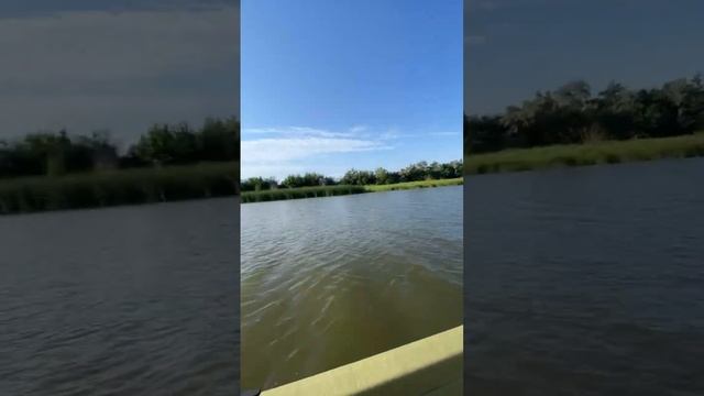 Астраханская область.#астраханскаяобласть #fishing #врек #рыбалка #астрахань #reels #природа