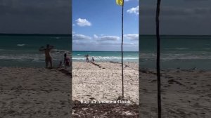 Куба 2024 апрель, Варадеро отель Melia Marina Varadero 5*, путешествие с ребёнком 6 лет