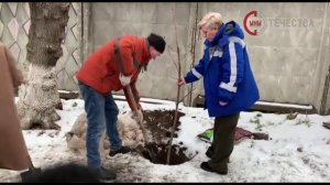 На_станции_скорой_помощи_в_Перми_появилась_Аллея_Дружбы_с_Луганском