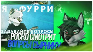 🐺 Роско смотрит Sirnik Fur - Я — ФУРРИ✅ ЗАДАВАЙТЕ ВОПРОСЫ [Часть 2]