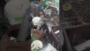 Сбор металолома .