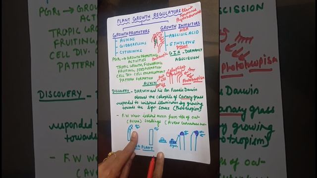 PLANT GROWTH REGULATORS PLANT HORMONES AUXINS CLASS 11 NEET