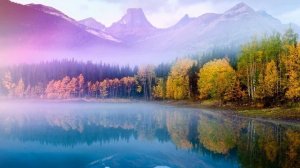 📣📣📣Душевные истории📢📢📢  Вера 📝   Жизненные истории🌠
