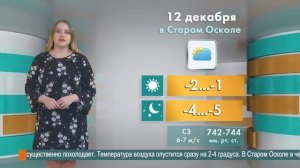 Погода в Старом Осколе на 12 декабря