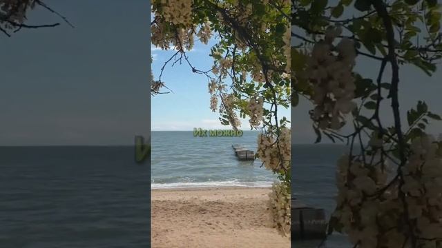 В чем САМАЯ большая ЦЕННОСТЬ жизни? #психология #мышление #тренд