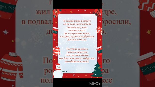 Стёпка ждёт свою семью! 🙏