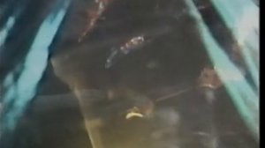 The Comsat Angels Sleep No More 1981