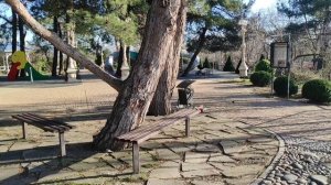 Андреевский парк в Геленджике.