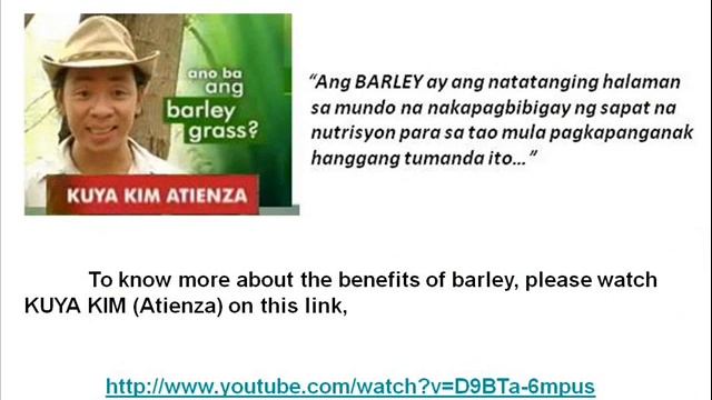 Why We Are Doing Sante (PURE BARLEY) & What We Can Offer You смотреть онлайн