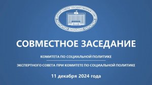 11.12.2024 Заседание Комитета ГС РТ по социальной политике