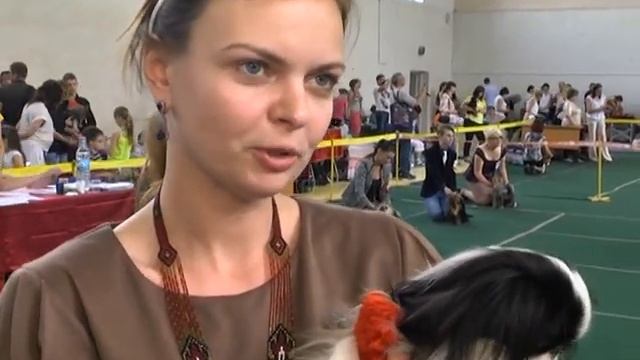 4 лапи. Японський хін смотреть онлайн