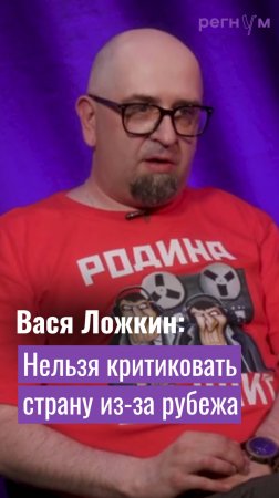 Вася Ложкин считает, что критиковать и осуждать страну нельзя из-за границы | Регнум интервью